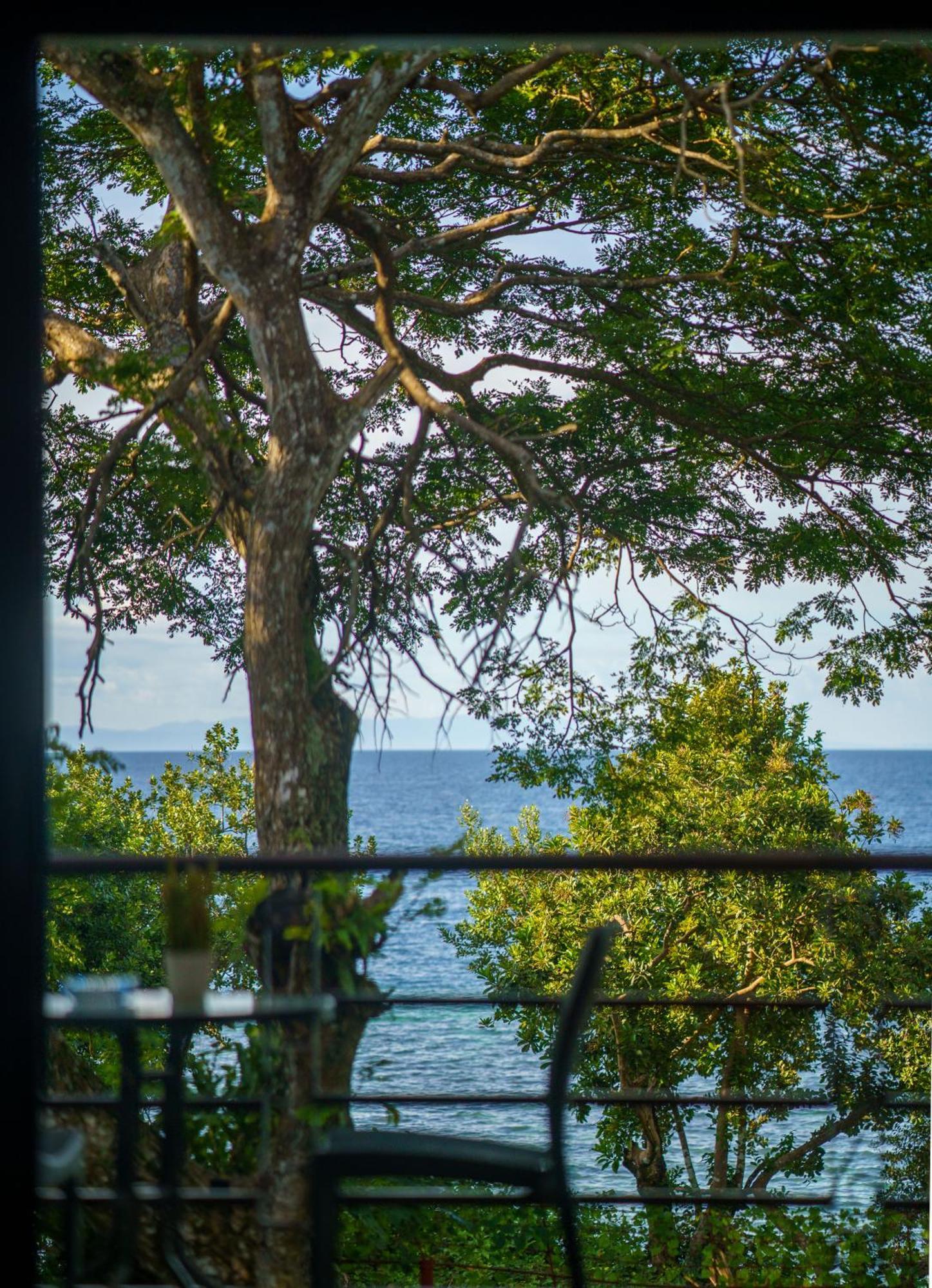 Oceanside 2 Bedroom House, 100Mbps Wifi Panglao Exterior foto